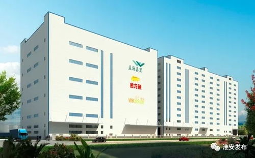 貫徹落實黨代會精神丨益海嘉里糧油深加工項目 助力我市打造國家級食品產(chǎn)業(yè)園