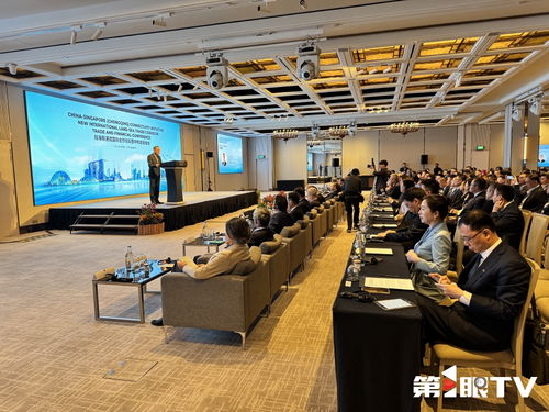 共話(huà)合作與發(fā)展 2025陸海新通道國(guó)際合作論壇暨中新金融峰會(huì)在新加坡啟動(dòng)